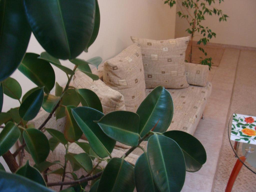Hotel Lidia Κισινάου Εξωτερικό φωτογραφία