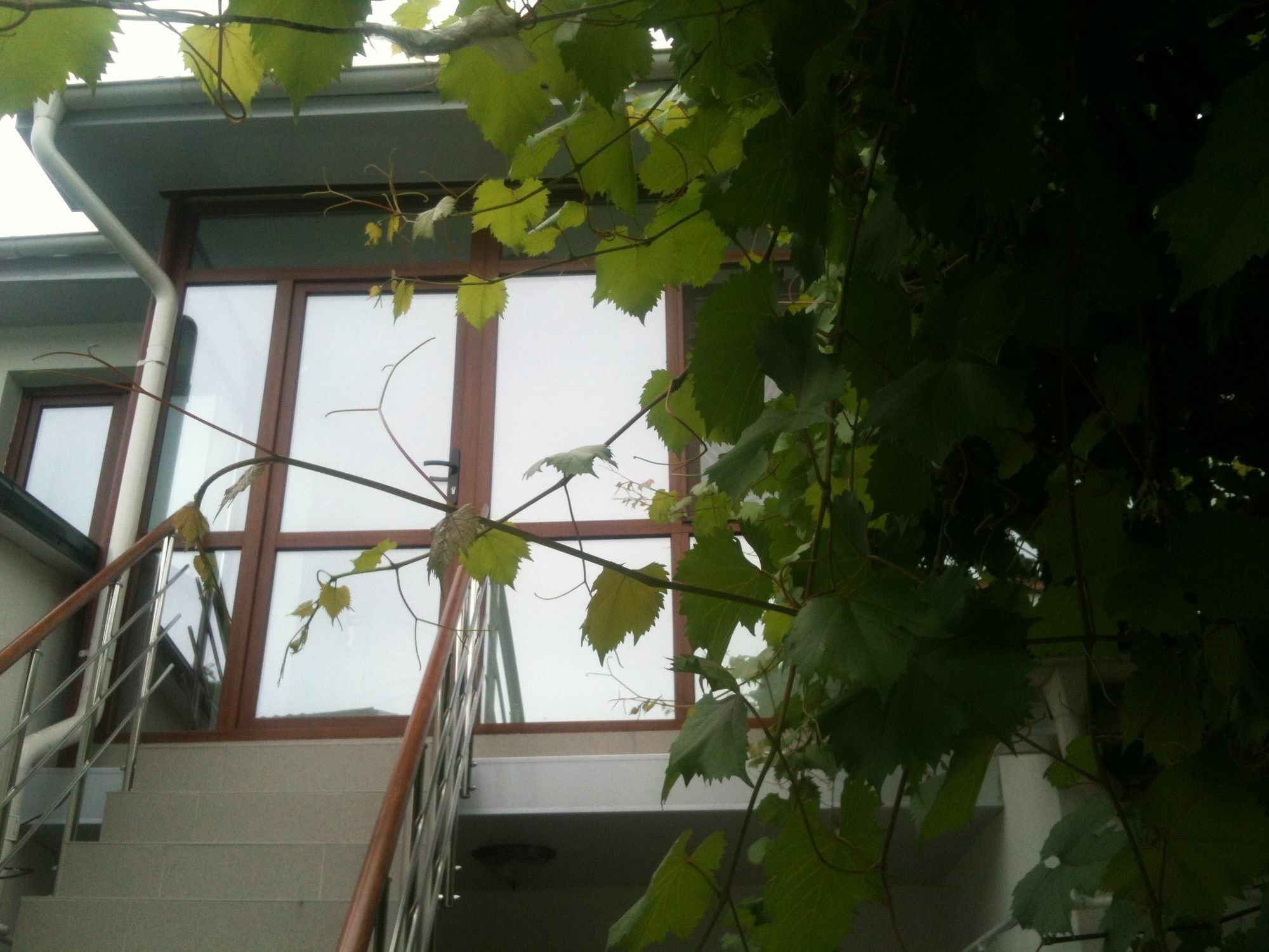 Hotel Lidia Κισινάου Εξωτερικό φωτογραφία